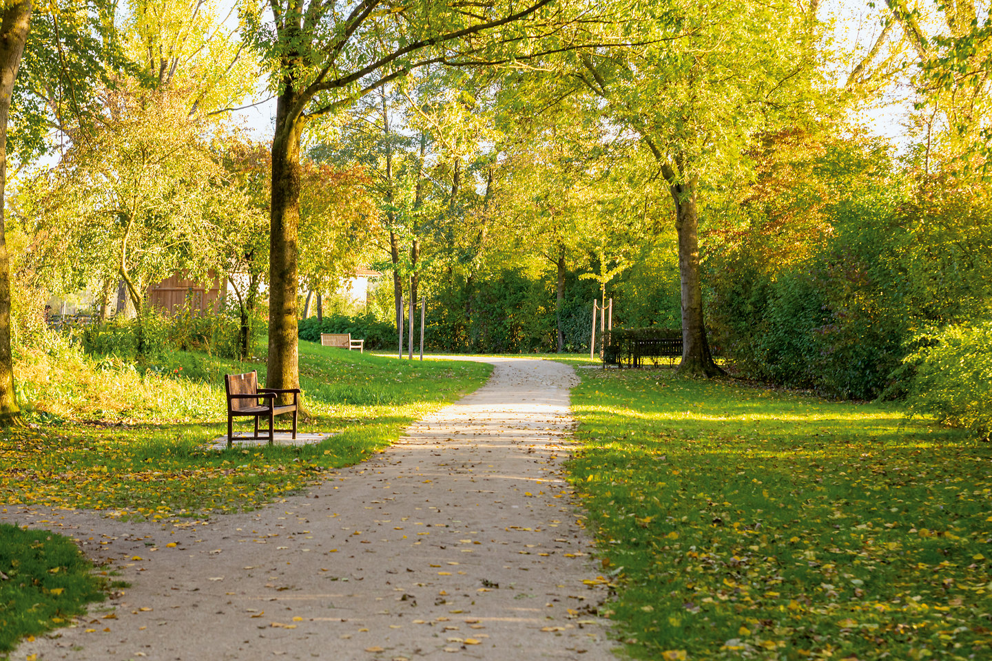 Wandern Herbst Kurpark