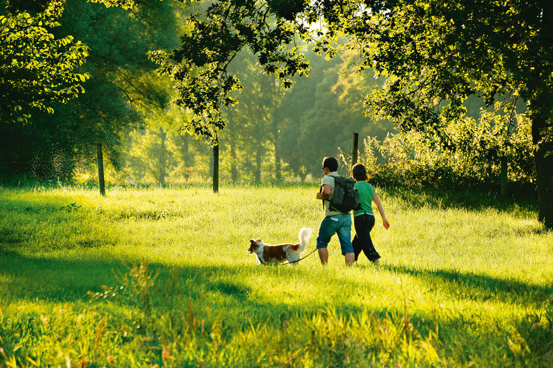 Wandern in der idyllischen Rottaler Landschaft
